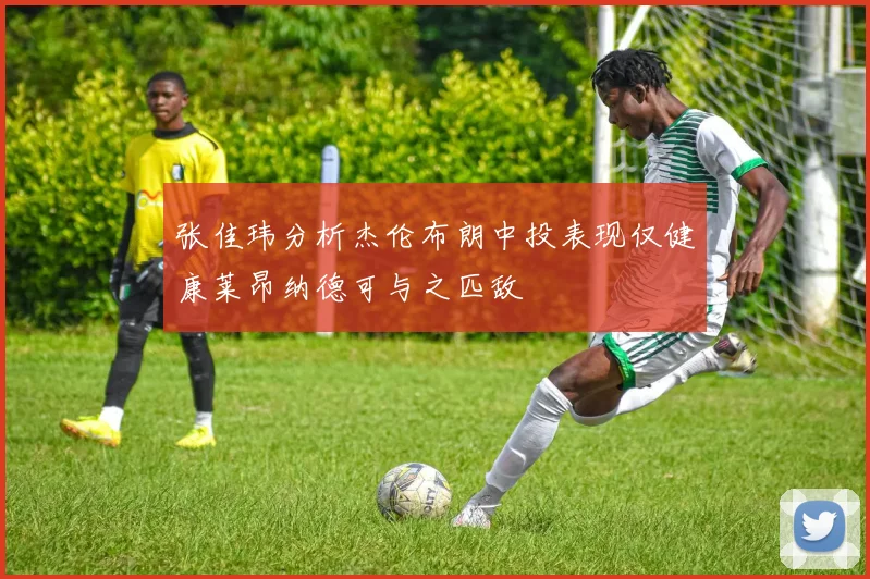 张佳玮分析杰伦布朗中投表现仅健康莱昂纳德可与之匹敌