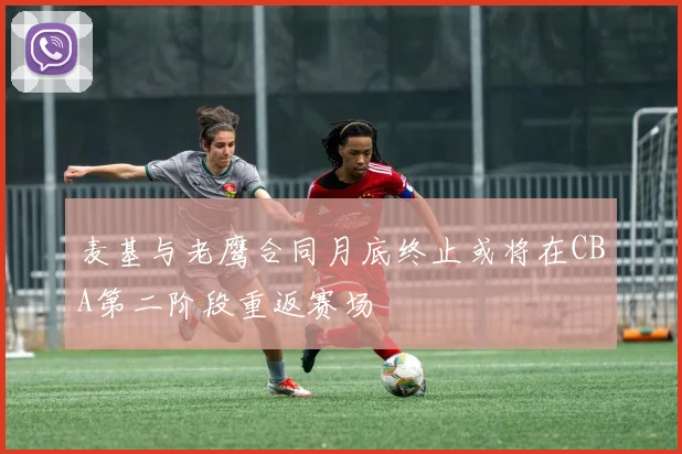 麦基与老鹰合同月底终止或将在CBA第二阶段重返赛场