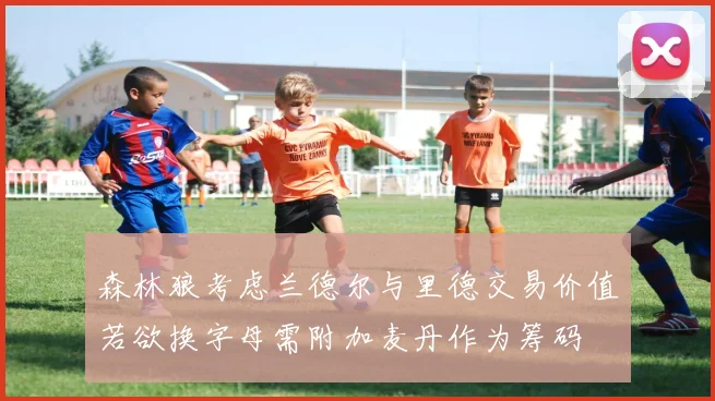 森林狼考虑兰德尔与里德交易价值若欲换字母需附加麦丹作为筹码