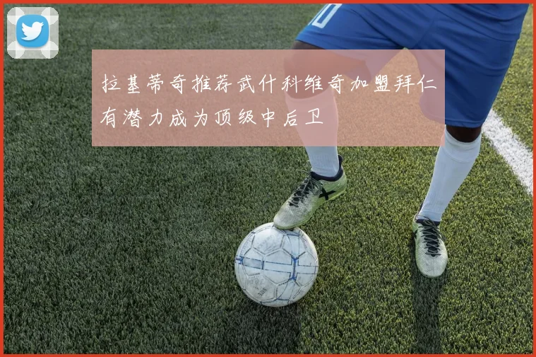 拉基蒂奇推荐武什科维奇加盟拜仁有潜力成为顶级中后卫