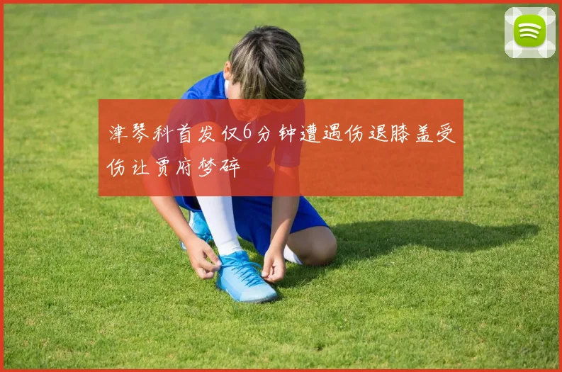 津琴科首发仅6分钟遭遇伤退膝盖受伤让贾府梦碎