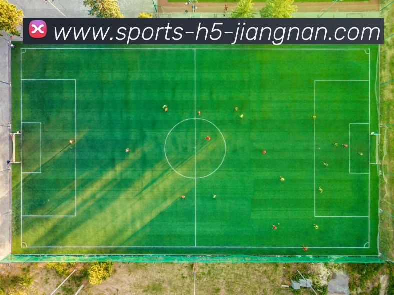 江南体育APP 封面图